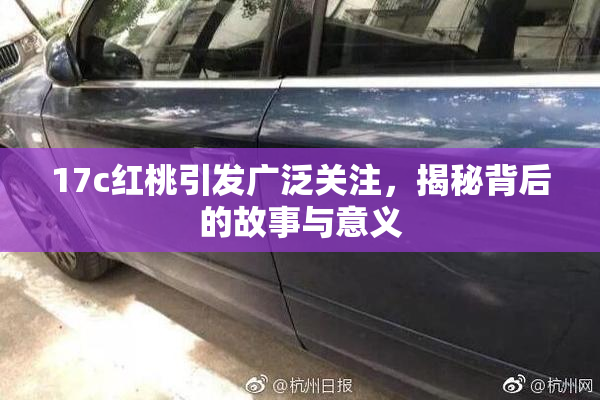 17c红桃引发广泛关注，揭秘背后的故事与意义