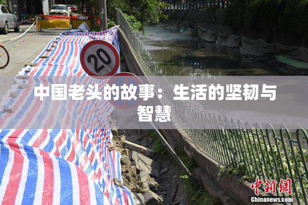 中国老头的故事：生活的坚韧与智慧