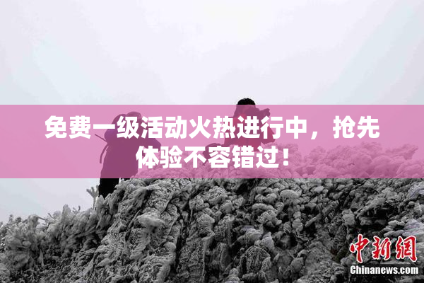 免费一级活动火热进行中，抢先体验不容错过！