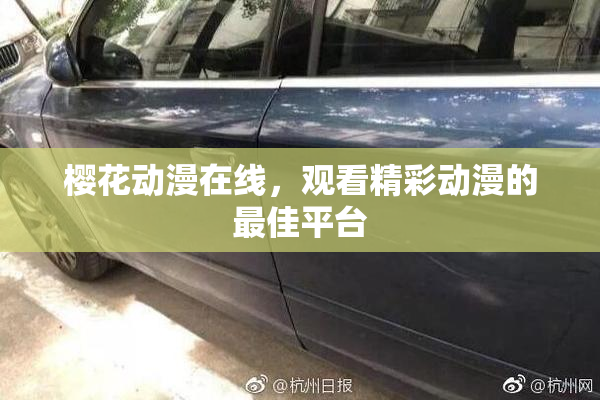 樱花动漫在线，观看精彩动漫的最佳平台