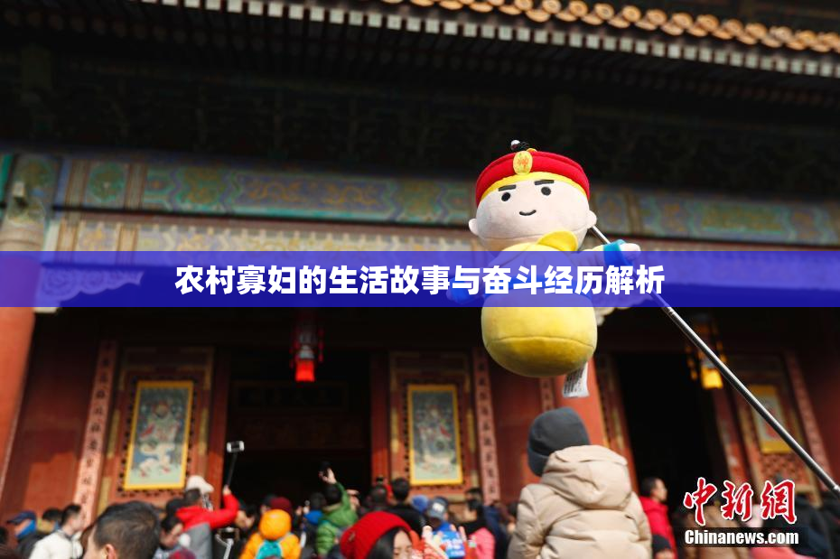 农村寡妇的生活故事与奋斗经历解析
