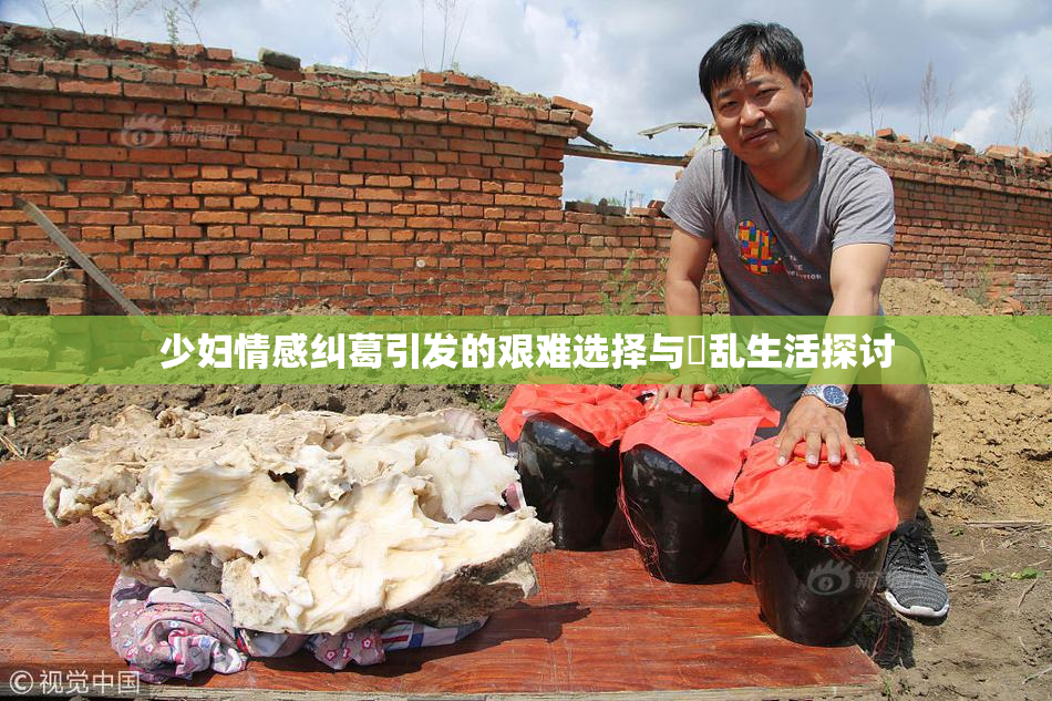 少妇情感纠葛引发的艰难选择与婬乱生活探讨