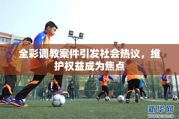 全彩调教案件引发社会热议，维护权益成为焦点