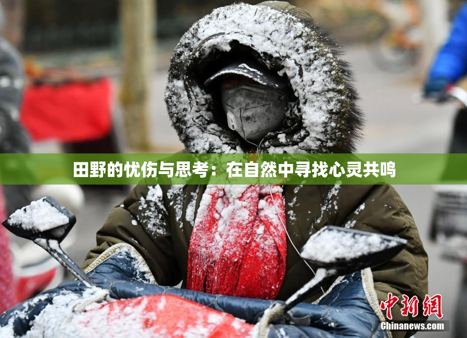 田野的忧伤与思考：在自然中寻找心灵共鸣