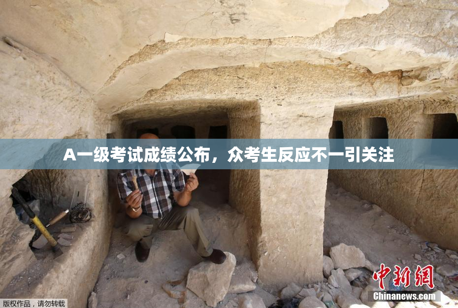 A一级考试成绩公布，众考生反应不一引关注