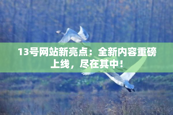 13号网站新亮点：全新内容重磅上线，尽在其中！