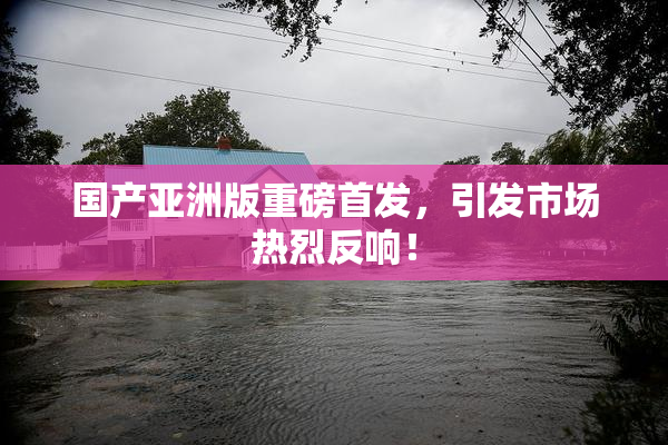 国产亚洲版重磅首发，引发市场热烈反响！
