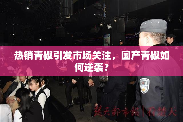热销青椒引发市场关注，国产青椒如何逆袭？