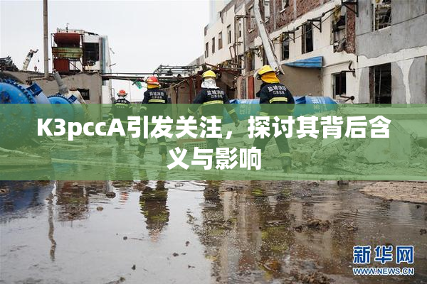 K3pccA引发关注，探讨其背后含义与影响