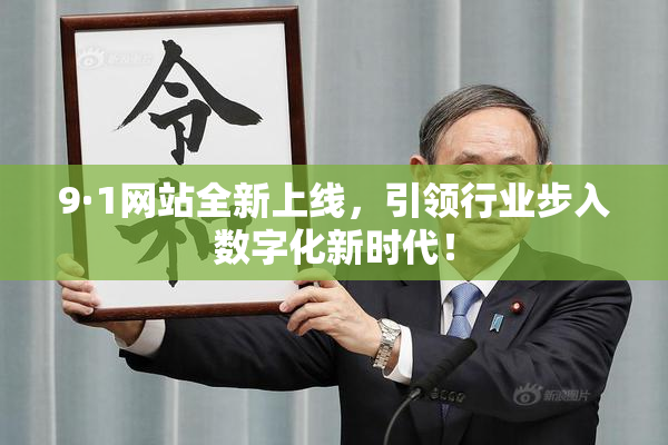 9·1网站全新上线，引领行业步入数字化新时代！