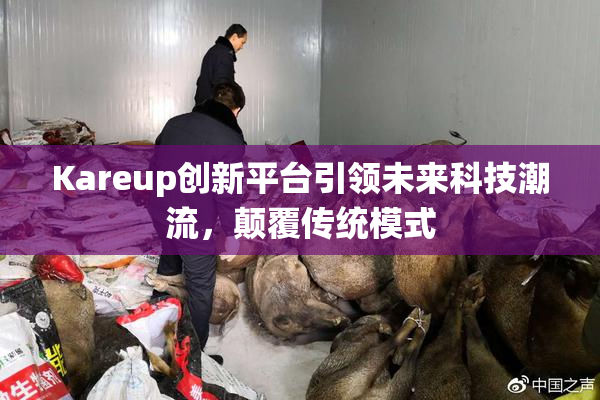 Kareup创新平台引领未来科技潮流，颠覆传统模式