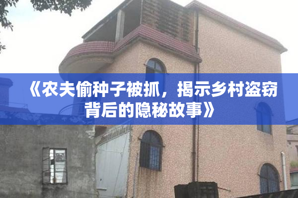 《农夫偷种子被抓，揭示乡村盗窃背后的隐秘故事》