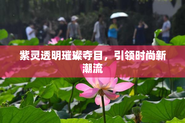 紫灵透明璀璨夺目，引领时尚新潮流