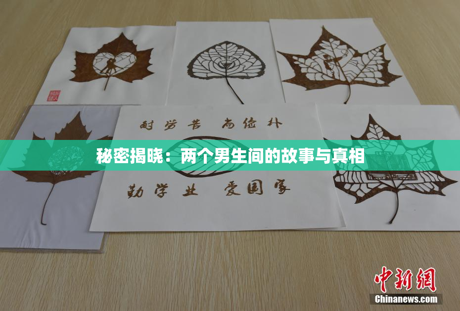 秘密揭晓：两个男生间的故事与真相