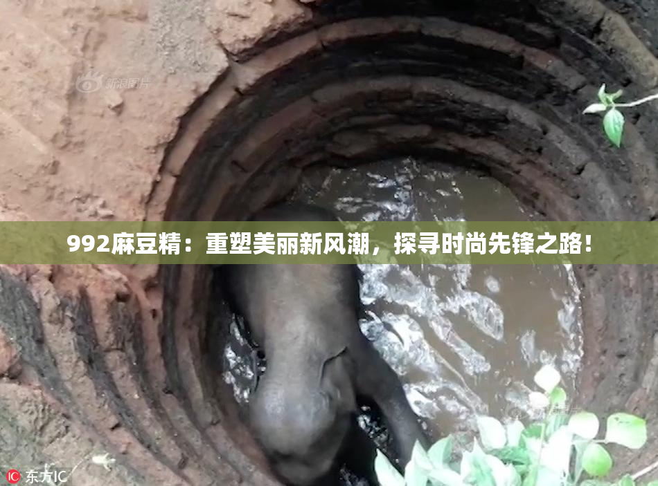 992麻豆精：重塑美丽新风潮，探寻时尚先锋之路！