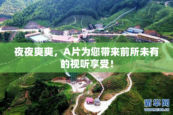 夜夜爽爽，A片为您带来前所未有的视听享受！