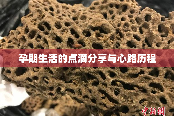 孕期生活的点滴分享与心路历程