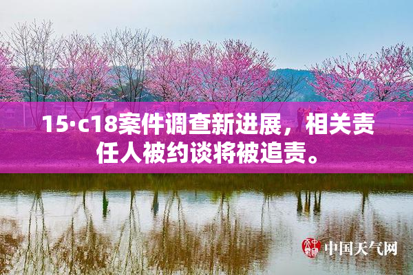 15·c18案件调查新进展，相关责任人被约谈将被追责。