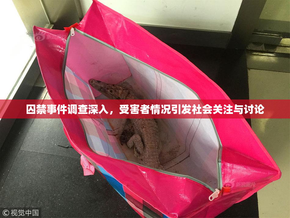 囚禁事件调查深入，受害者情况引发社会关注与讨论