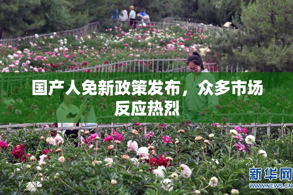 国产人免新政策发布，众多市场反应热烈