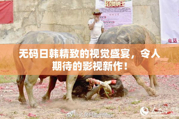 无码日韩精致的视觉盛宴，令人期待的影视新作！