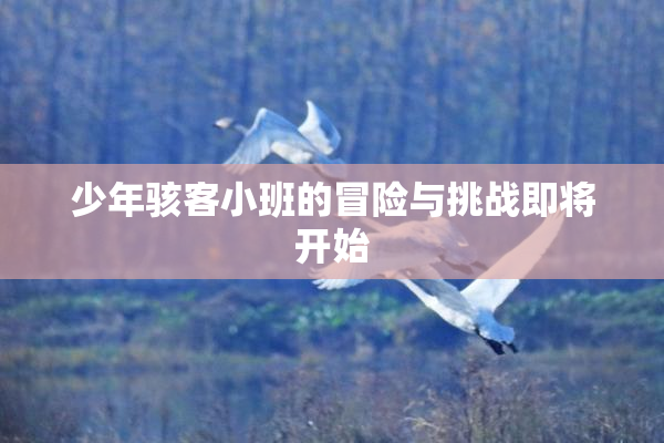 少年骇客小班的冒险与挑战即将开始
