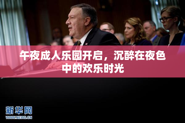 午夜成人乐园开启，沉醉在夜色中的欢乐时光