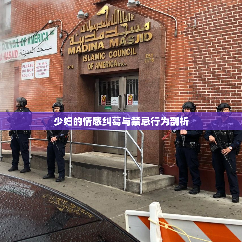 少妇的情感纠葛与禁忌行为剖析