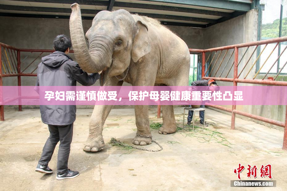 孕妇需谨慎做受，保护母婴健康重要性凸显