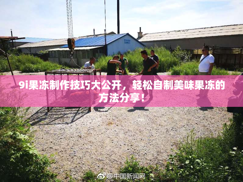 9i果冻制作技巧大公开，轻松自制美味果冻的方法分享！