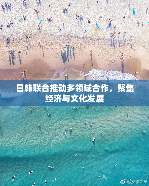 日韩联合推动多领域合作，聚焦经济与文化发展