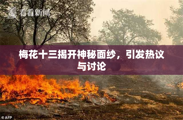 梅花十三揭开神秘面纱，引发热议与讨论
