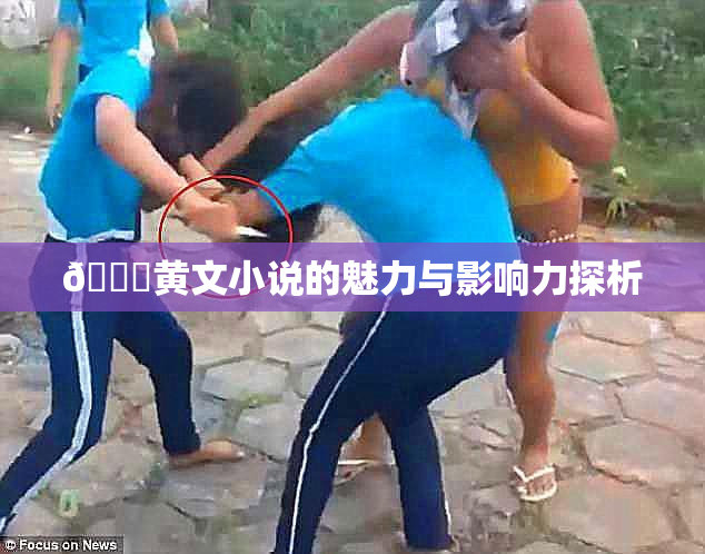 🔞黄文小说的魅力与影响力探析