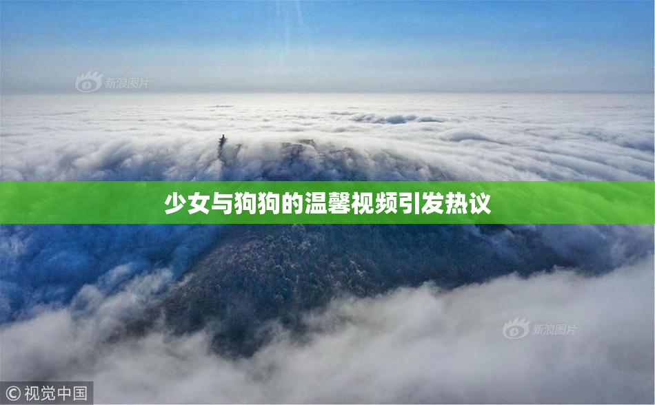 少女与狗狗的温馨视频引发热议