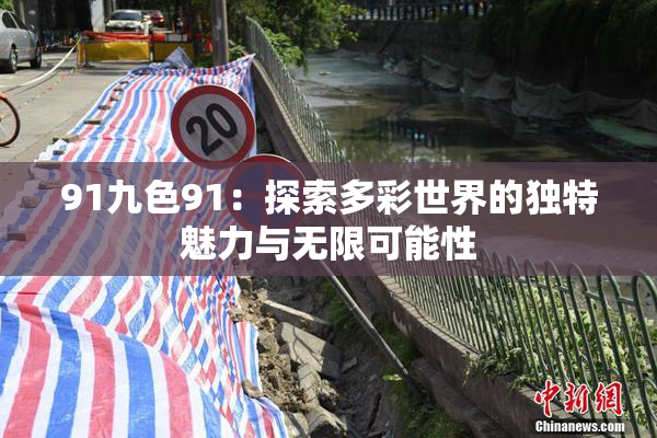 91九色91：探索多彩世界的独特魅力与无限可能性