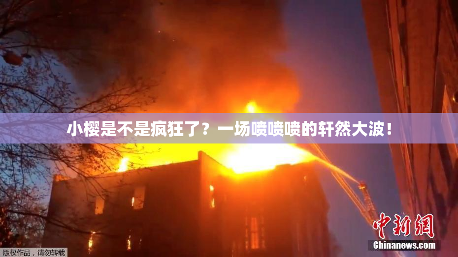 小樱是不是疯狂了？一场喷喷喷的轩然大波！