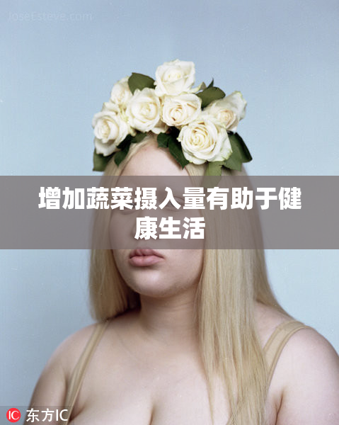 增加蔬菜摄入量有助于健康生活