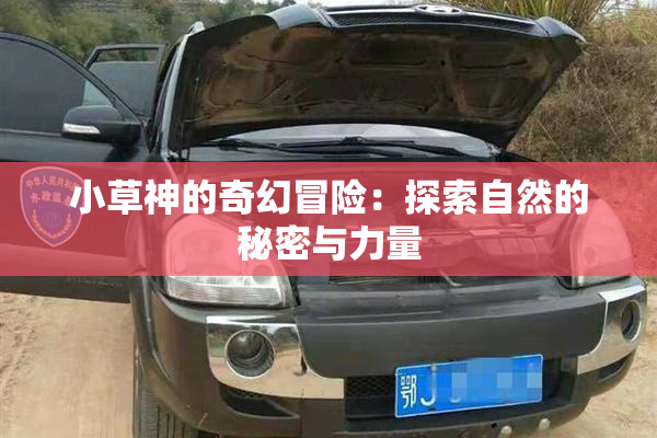 小草神的奇幻冒险：探索自然的秘密与力量