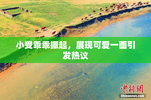 小受乖乖撅起，展现可爱一面引发热议