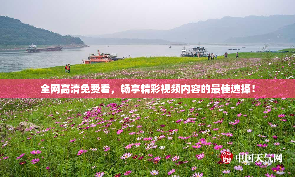 全网高清免费看，畅享精彩视频内容的最佳选择！