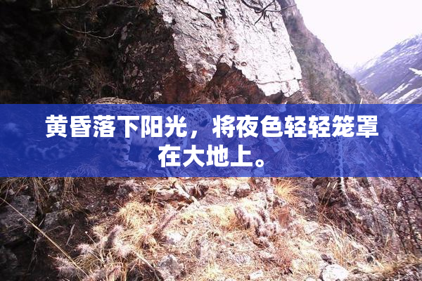 黄昏落下阳光，将夜色轻轻笼罩在大地上。
