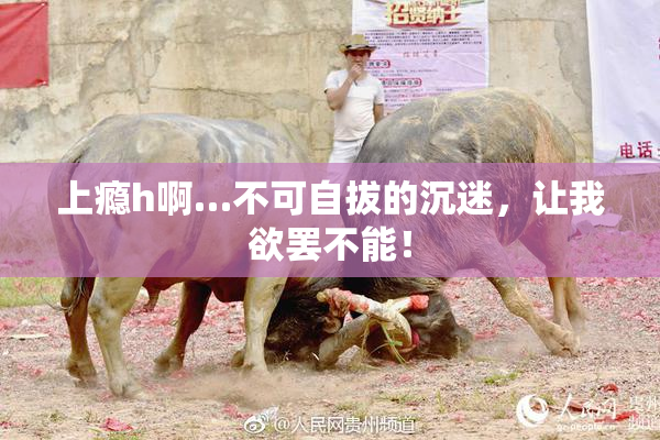 上瘾h啊…不可自拔的沉迷，让我欲罢不能！
