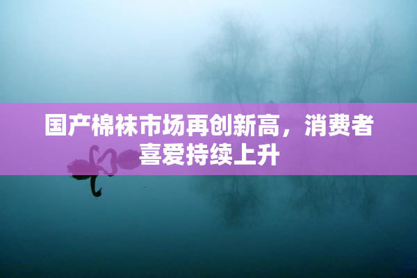 国产棉袜市场再创新高，消费者喜爱持续上升