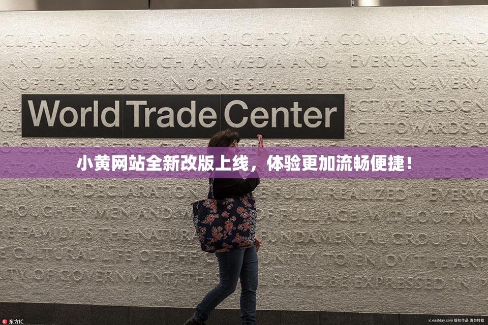 小黄网站全新改版上线，体验更加流畅便捷！