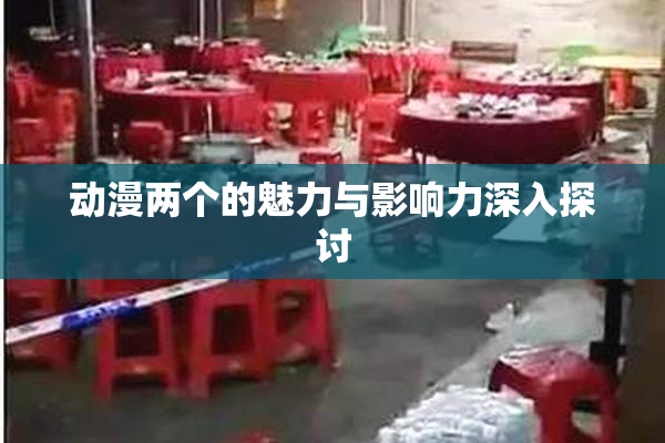 动漫两个的魅力与影响力深入探讨