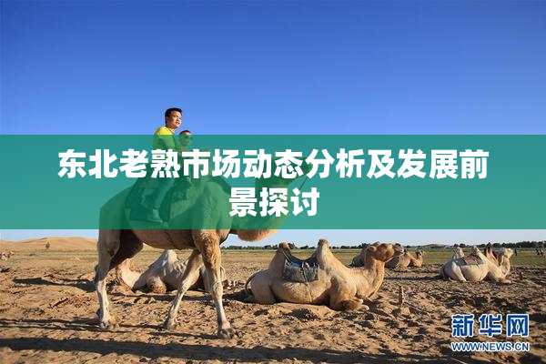 东北老熟市场动态分析及发展前景探讨