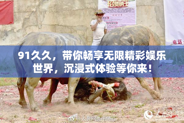 91久久，带你畅享无限精彩娱乐世界，沉浸式体验等你来！