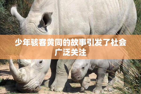 少年骇客黄同的故事引发了社会广泛关注