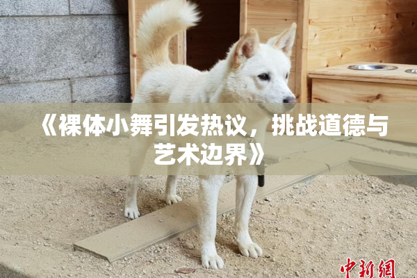 《裸体小舞引发热议，挑战道德与艺术边界》