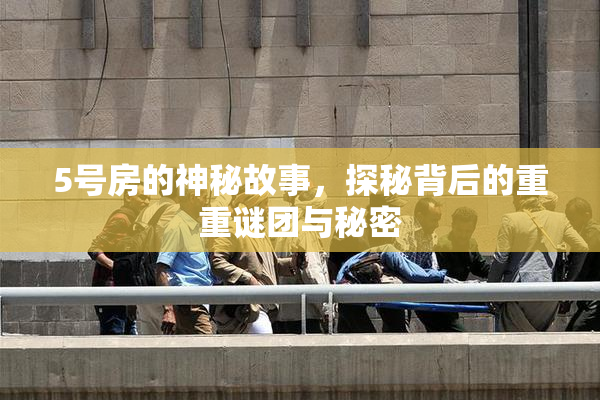 5号房的神秘故事，探秘背后的重重谜团与秘密